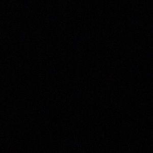 Meet your Posher, Wilson